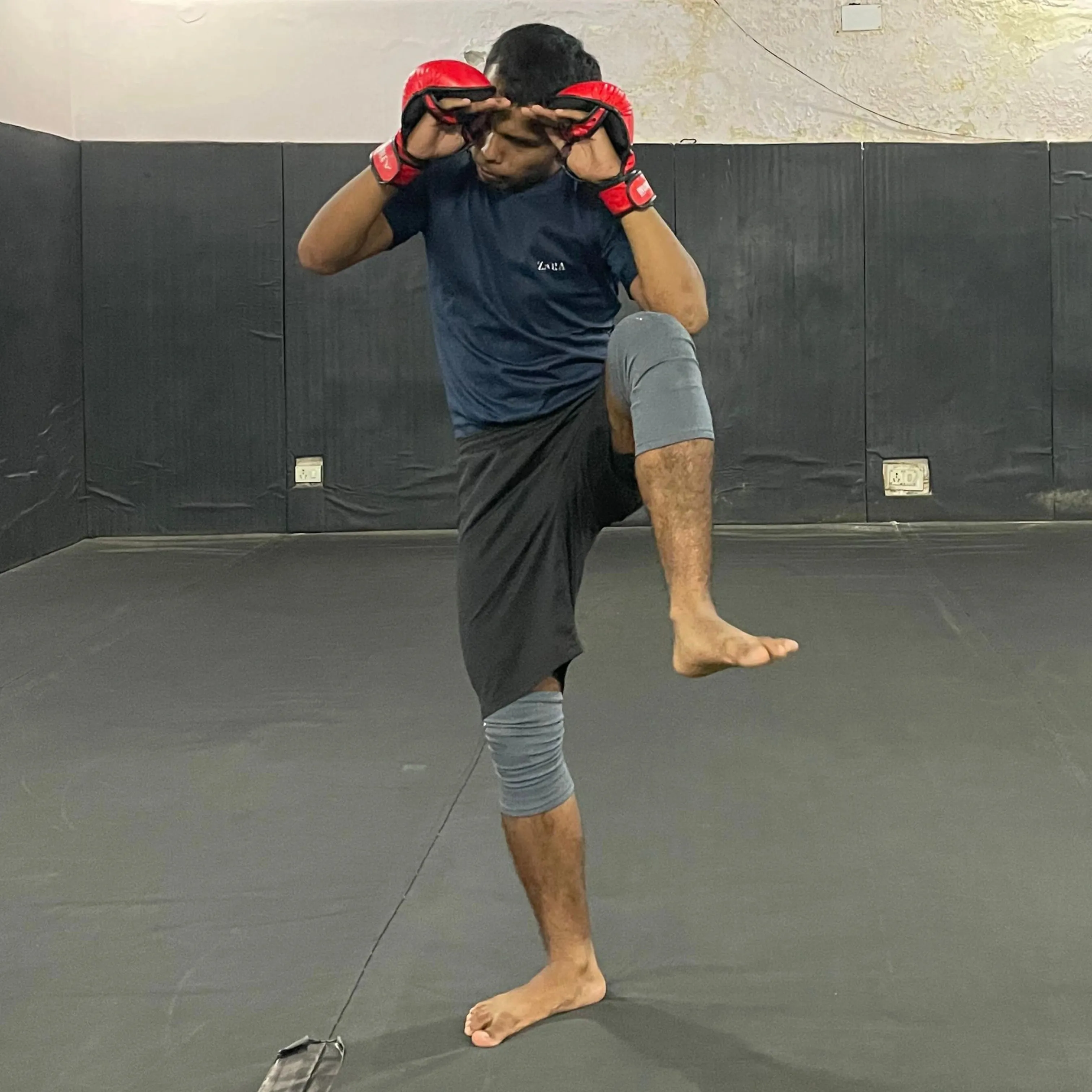 KRISH THE BISON 🦬