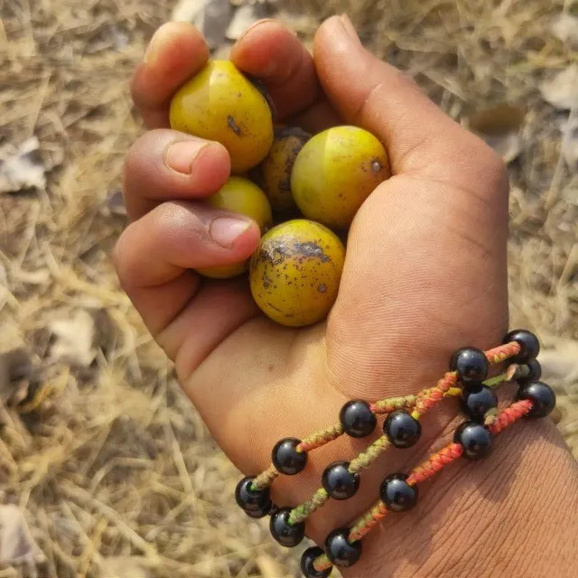 Sunil Kumar