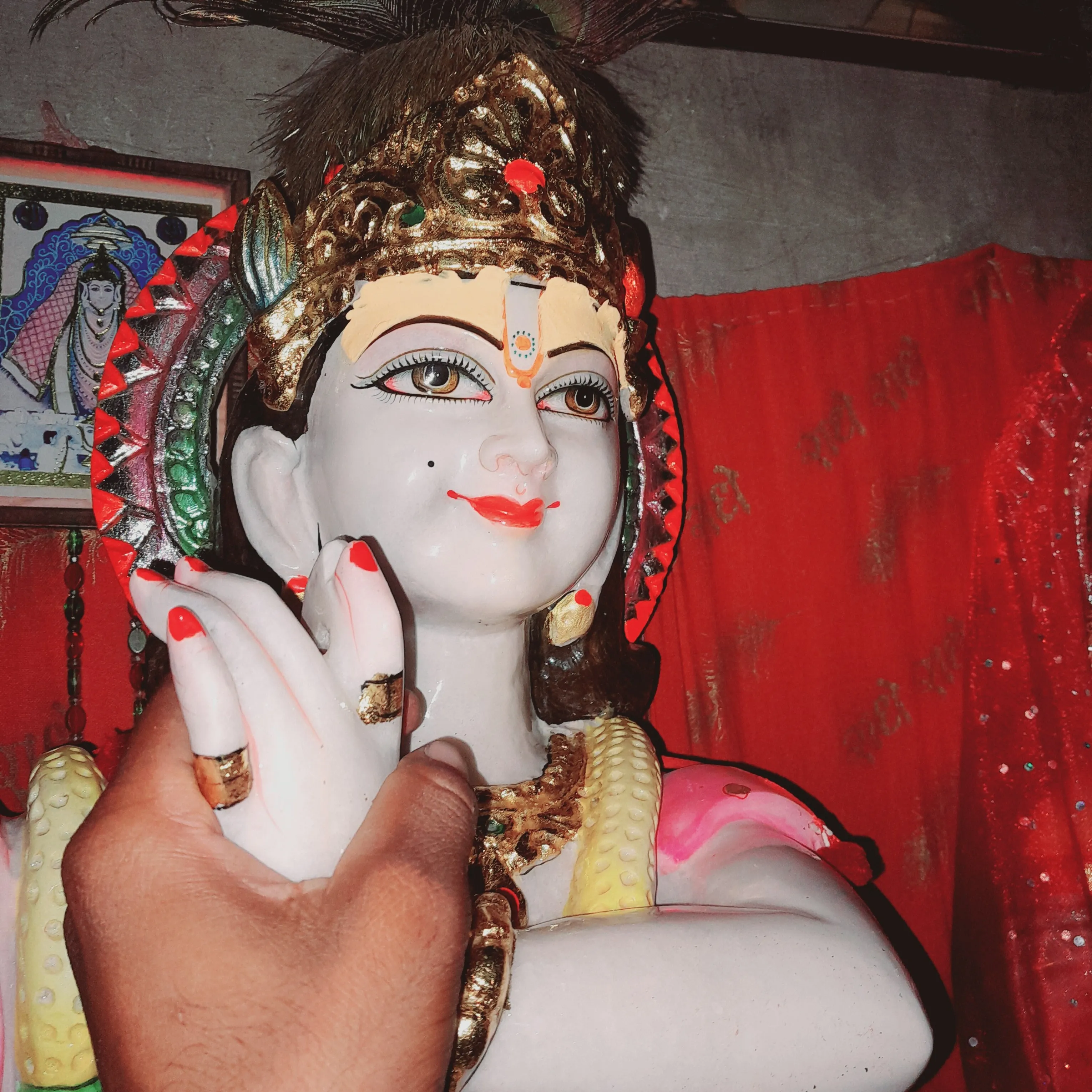 vashu rajput