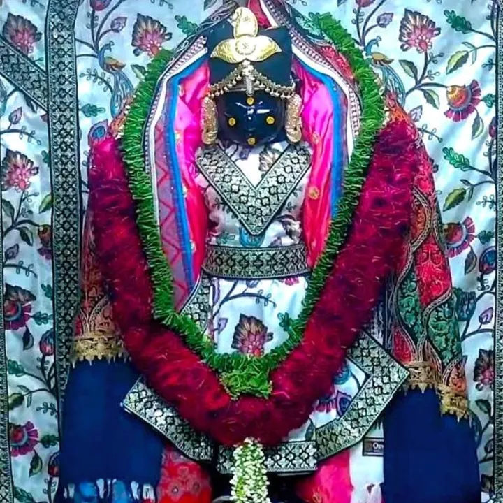 શ્રીકૃષ્ણમ્ નવોદયટ્રેનિંગસેન્ટર
