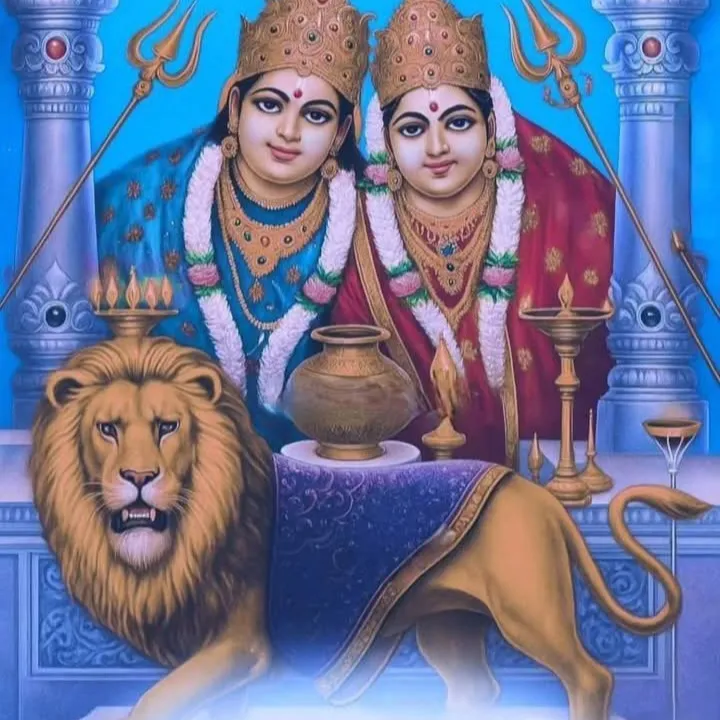 JAYDIP BAROT
