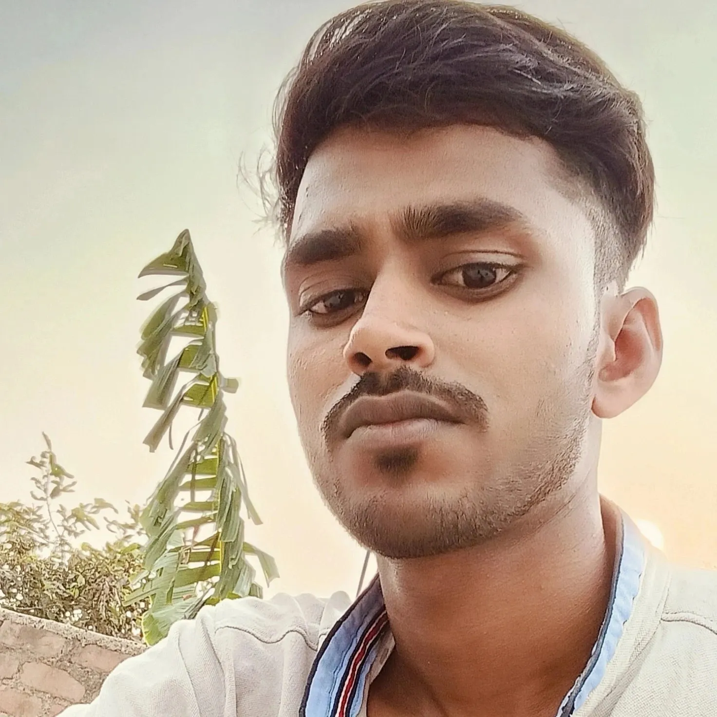 md alim