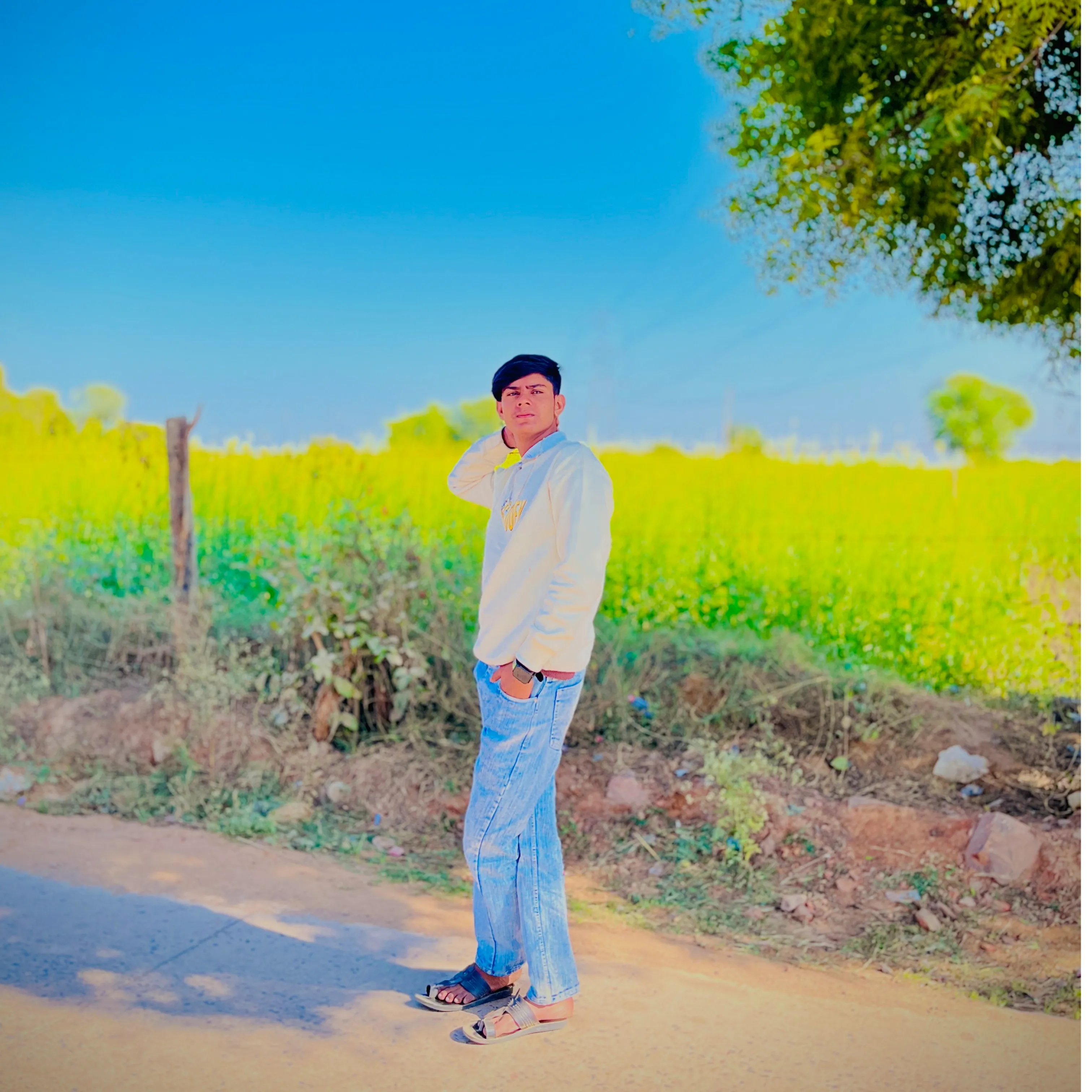 sumit meerwal