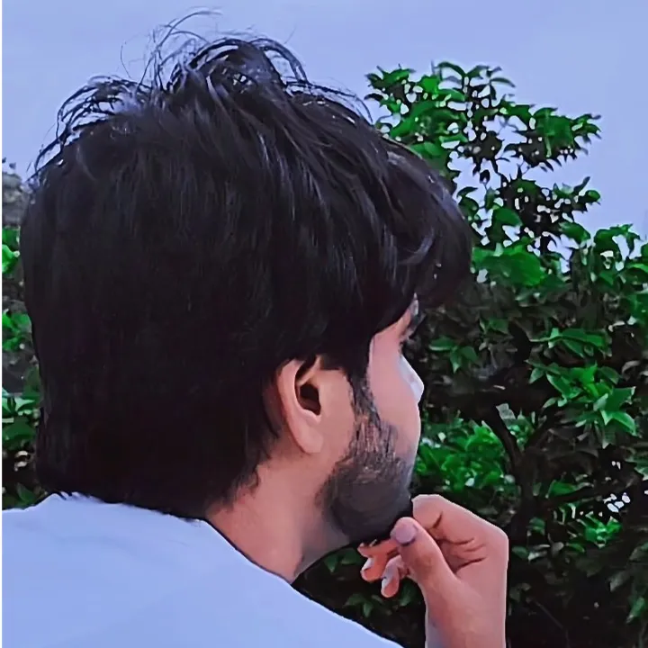 Sheikh Qamar