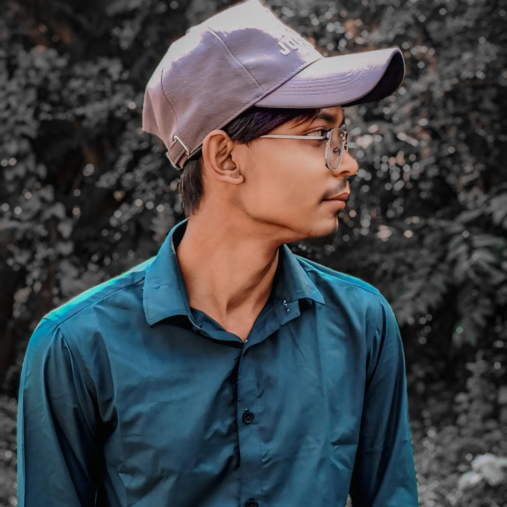 dxarif dxarif