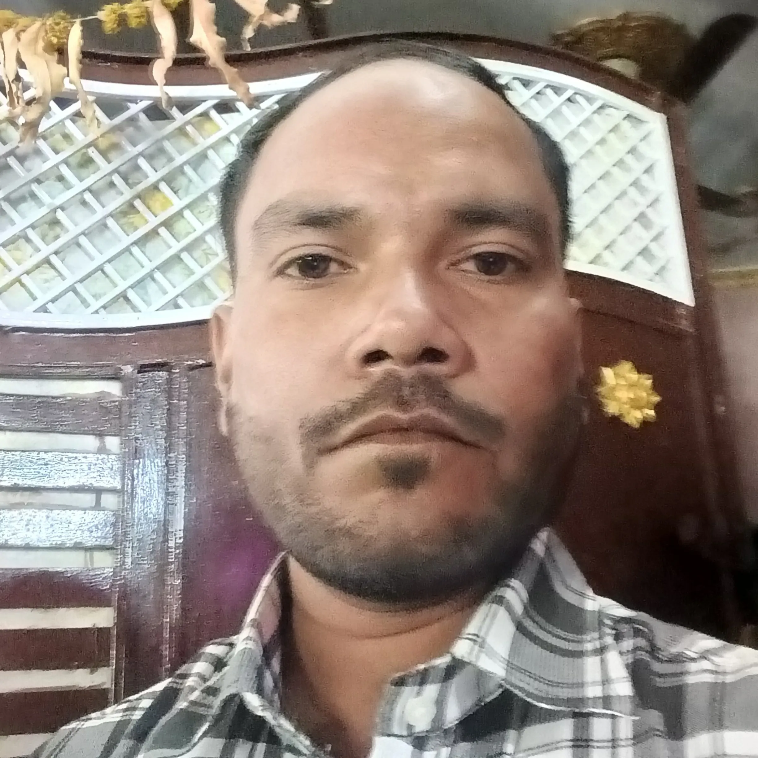Yasheen khan
