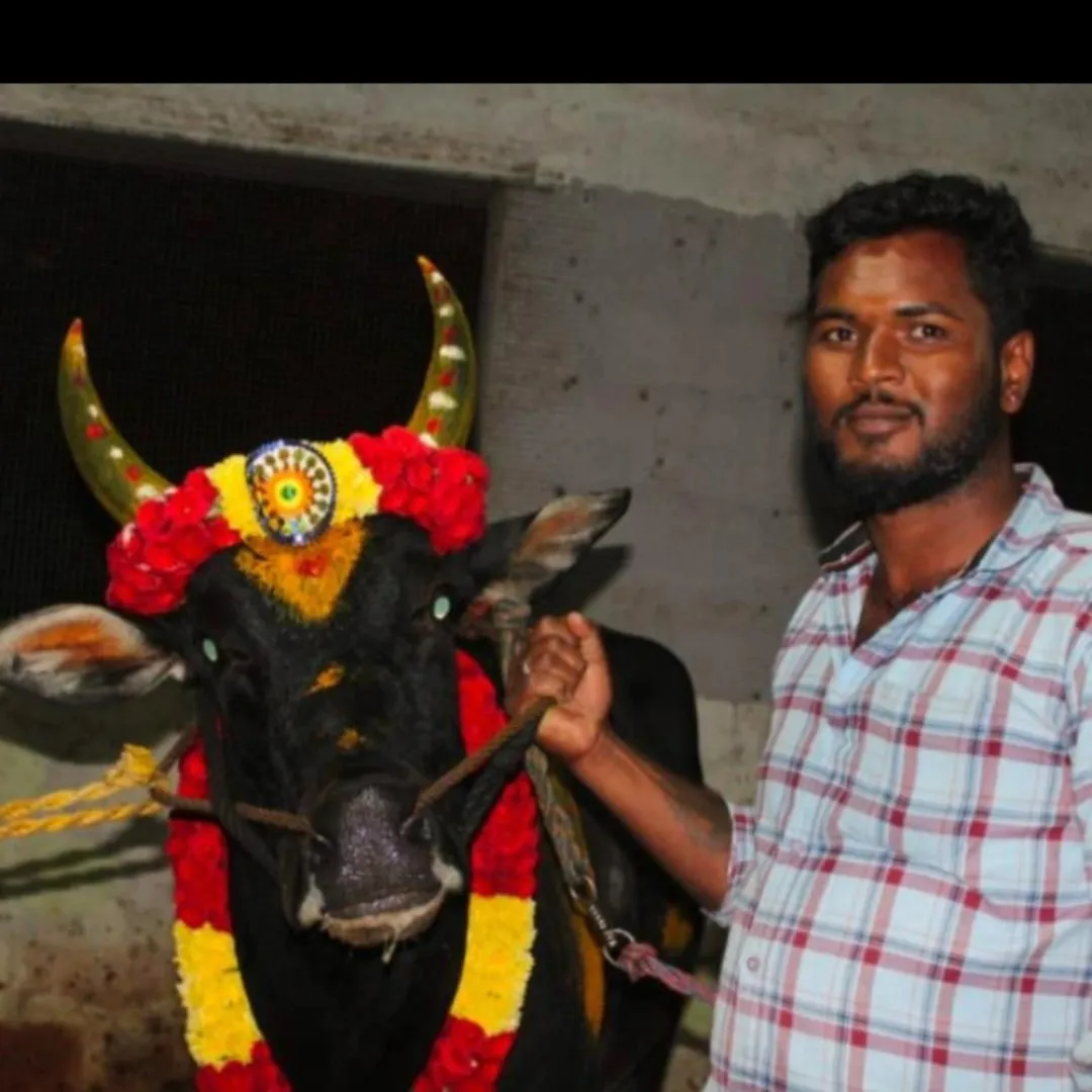 vinoth kongu
