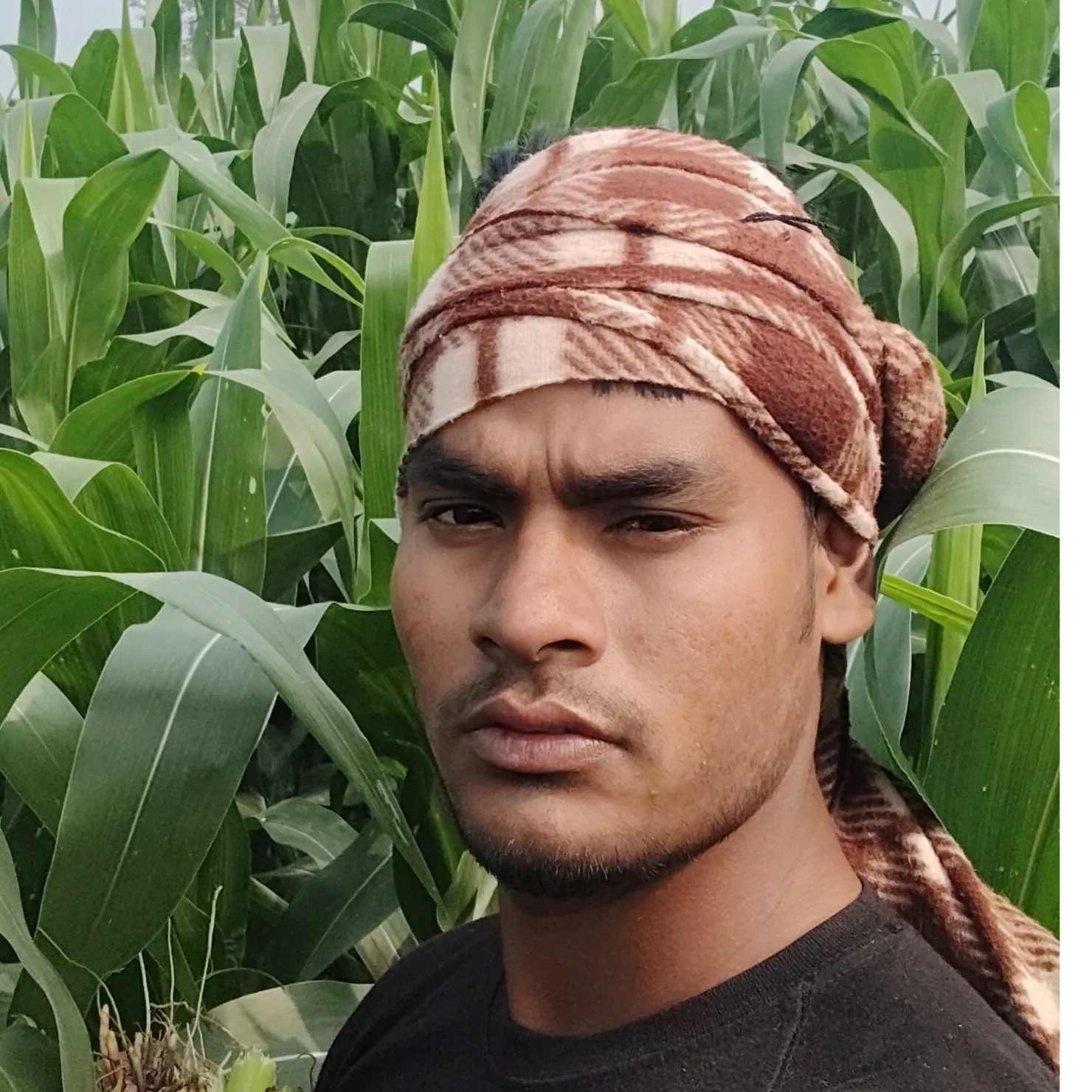 MD DULAL bhi