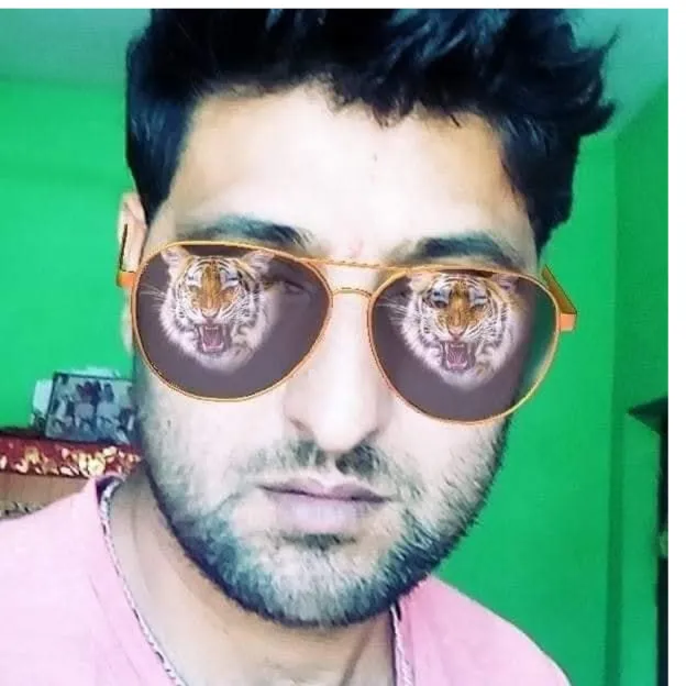 Ranjitsingh Choudhary