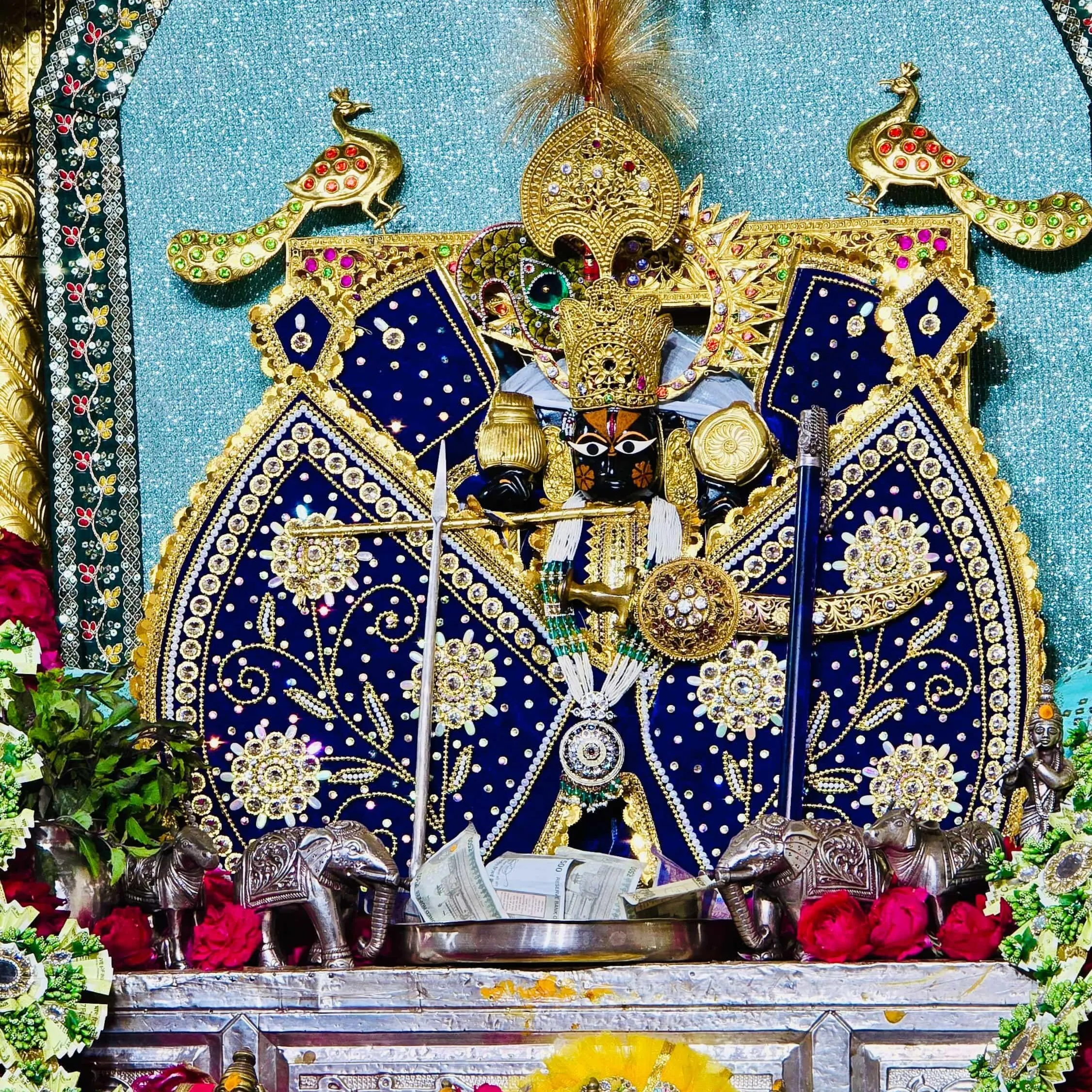 nileshmuniya muniya
