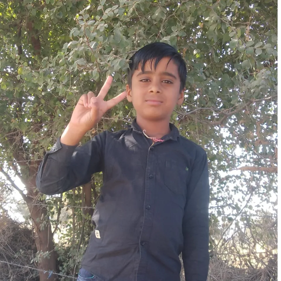 Narpatsingh parihar