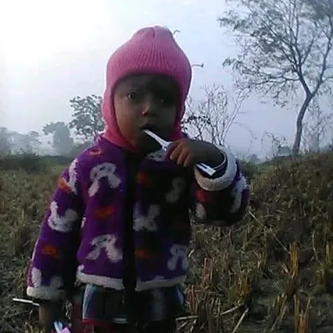 Giri DipuRoy