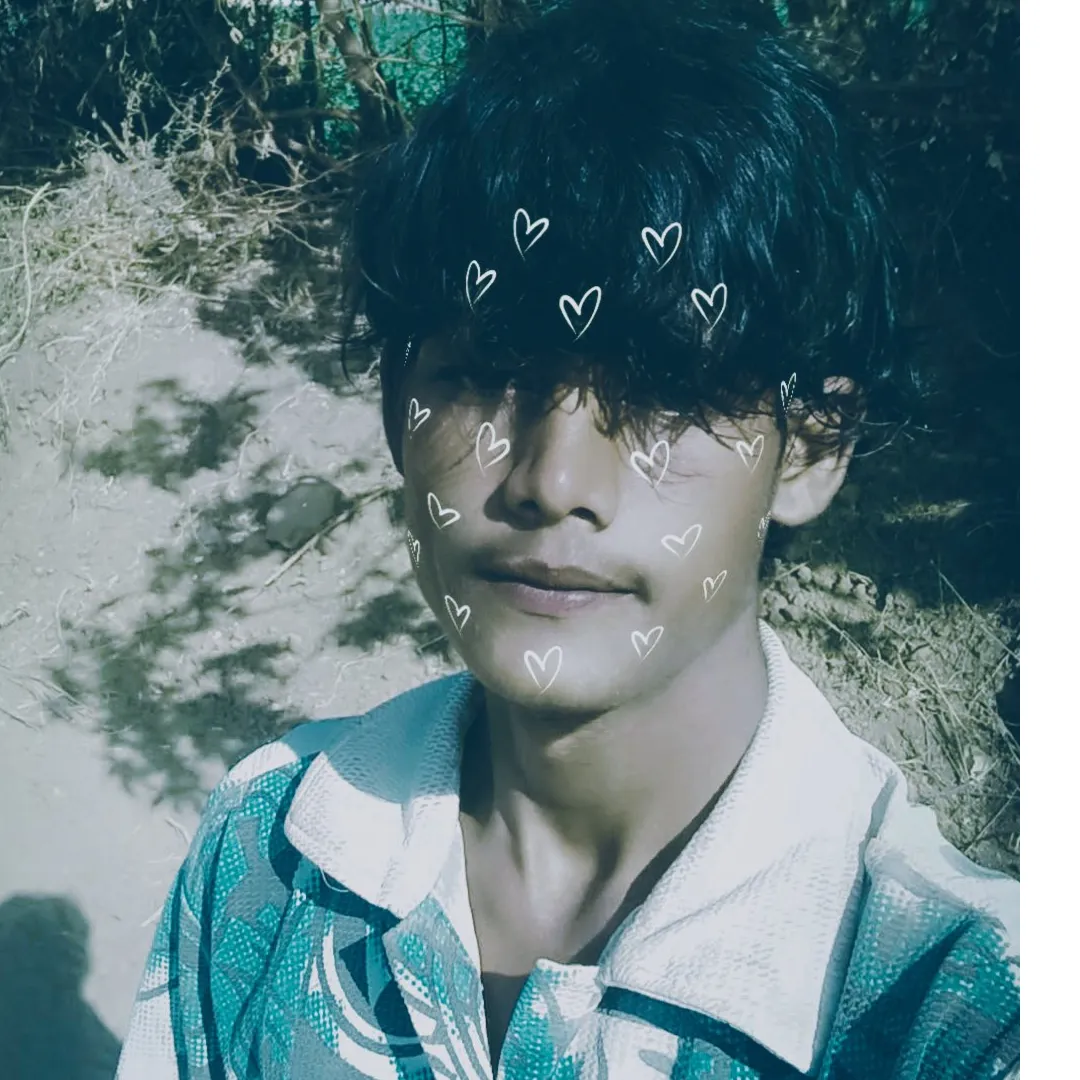 Vikram Palas