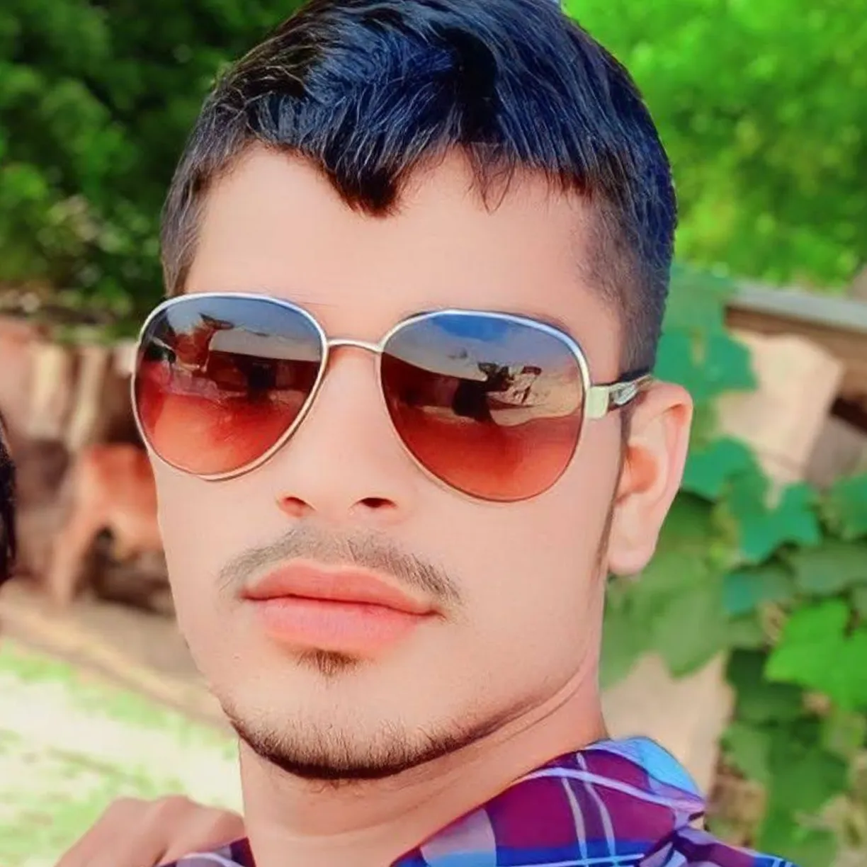 Birmaram Godara