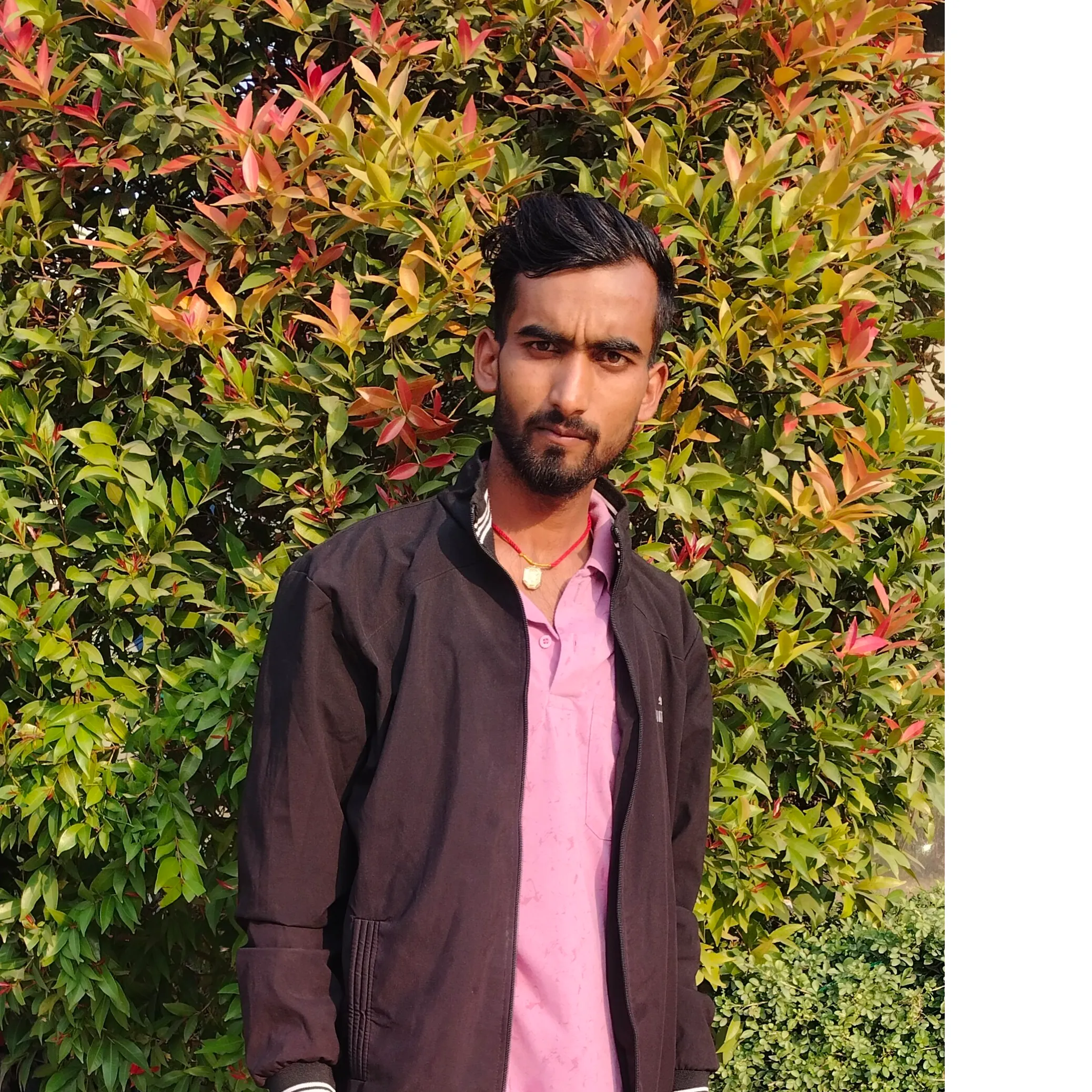 Niraj 7529