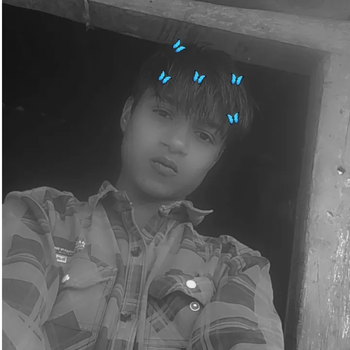 Rajesh Mori