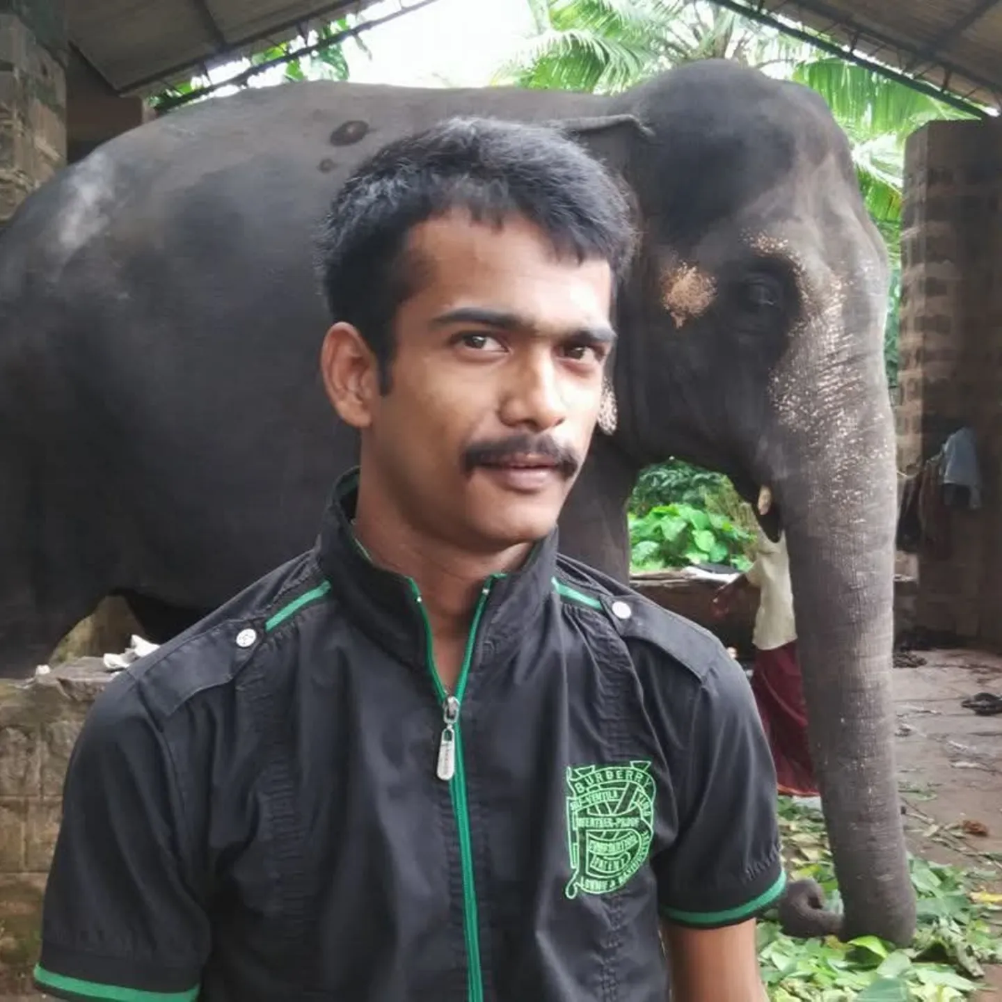 sukesh acharya