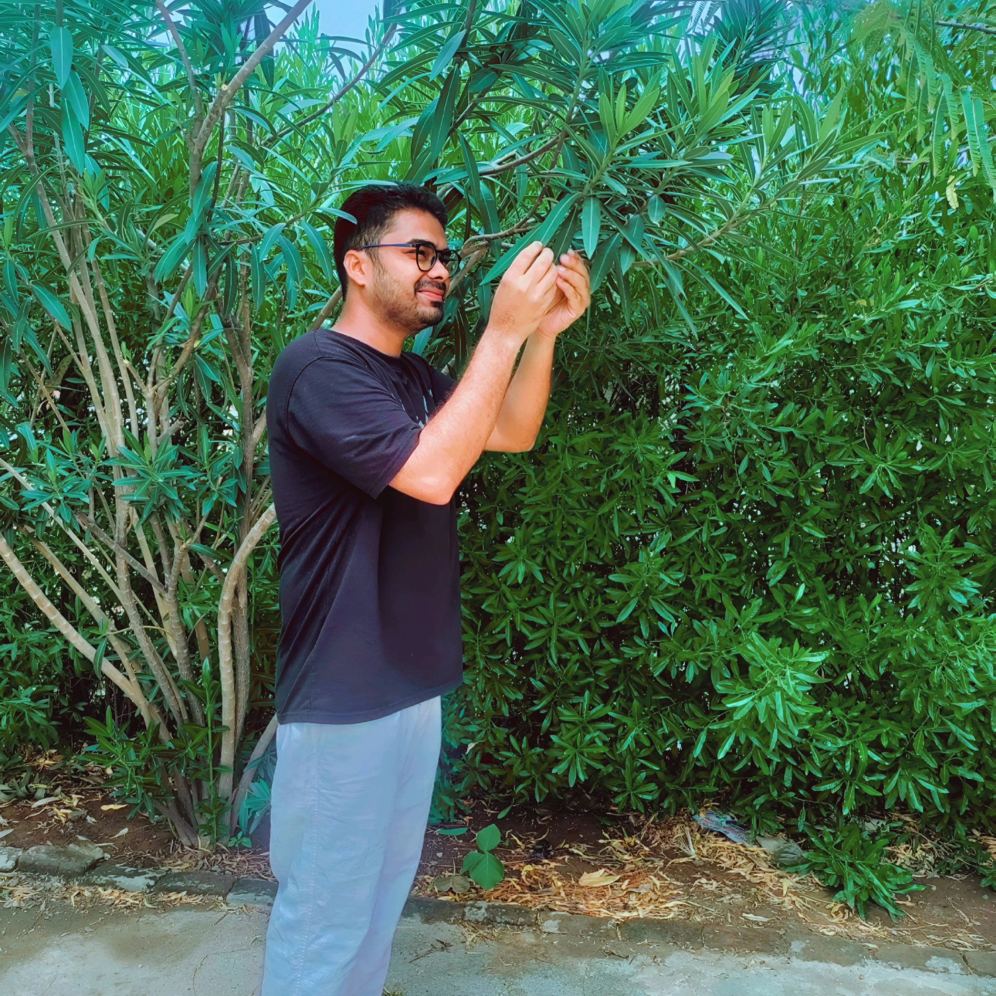 Viraaj Sisodiya