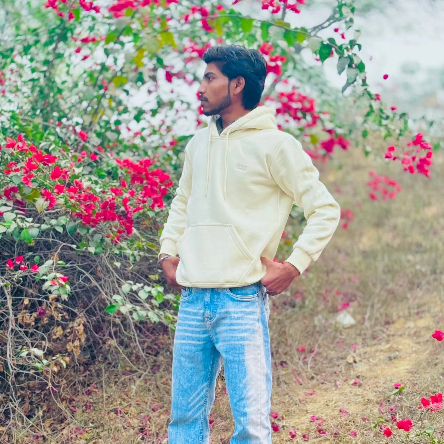 ajay chauchan