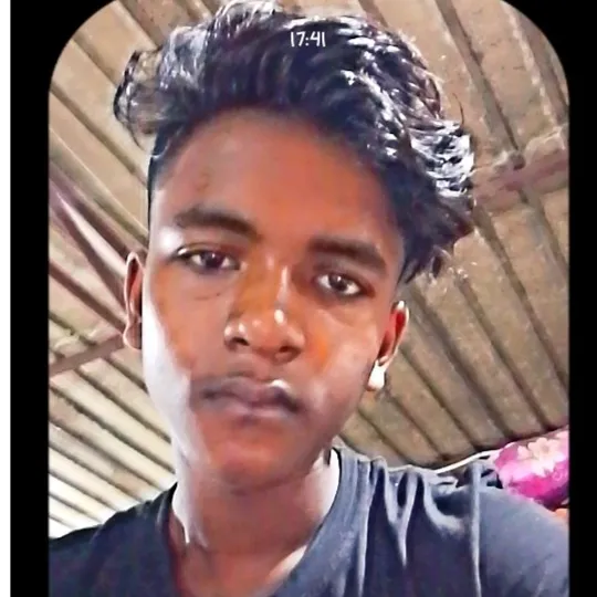Tulsiram aray
