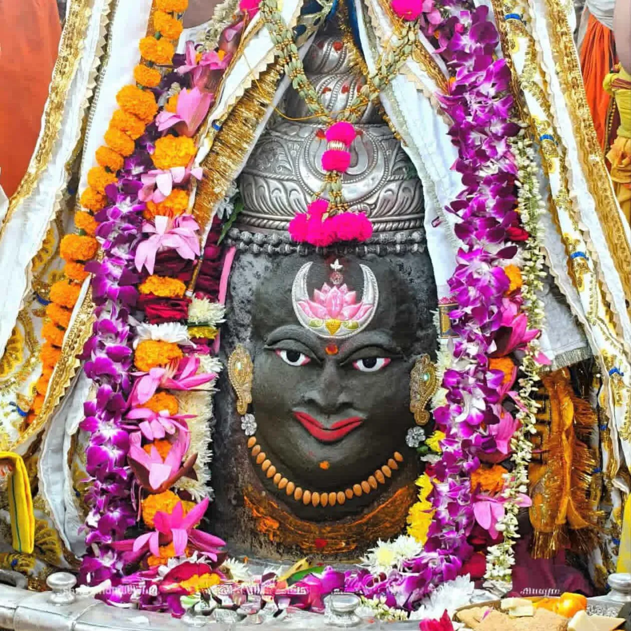 kush vaishnav