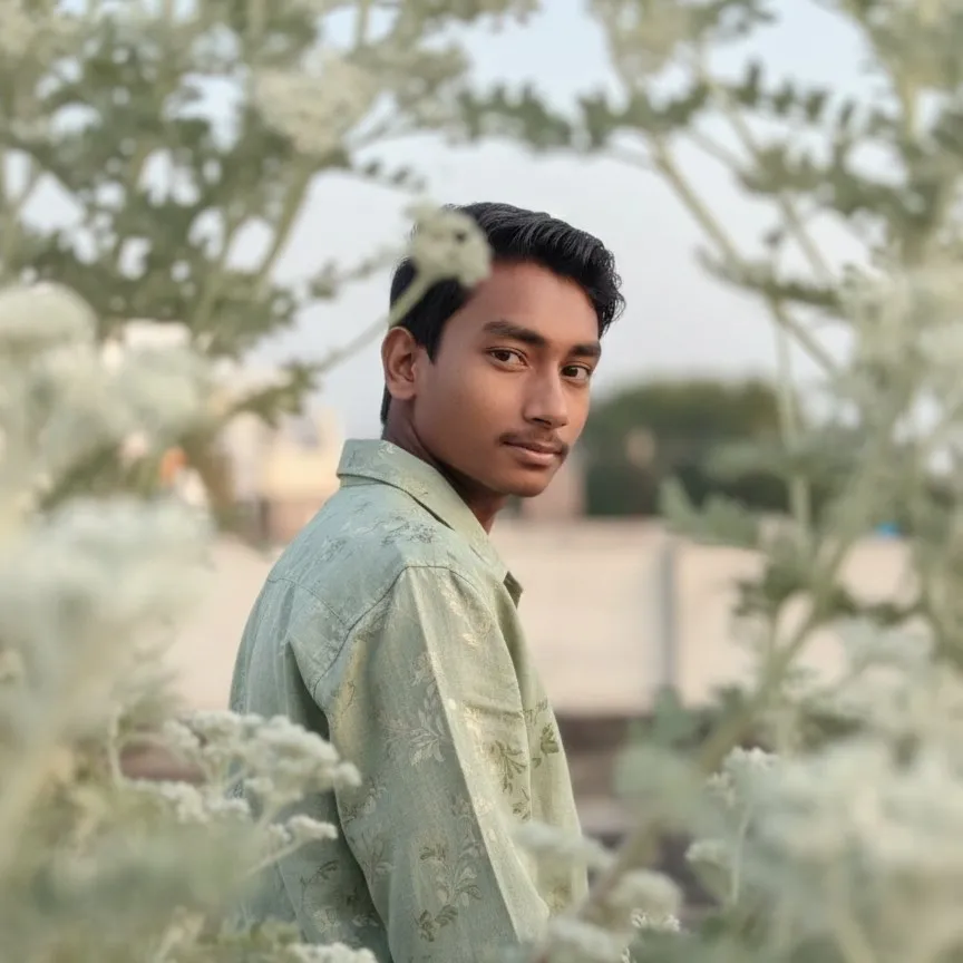 Mansur ansari
