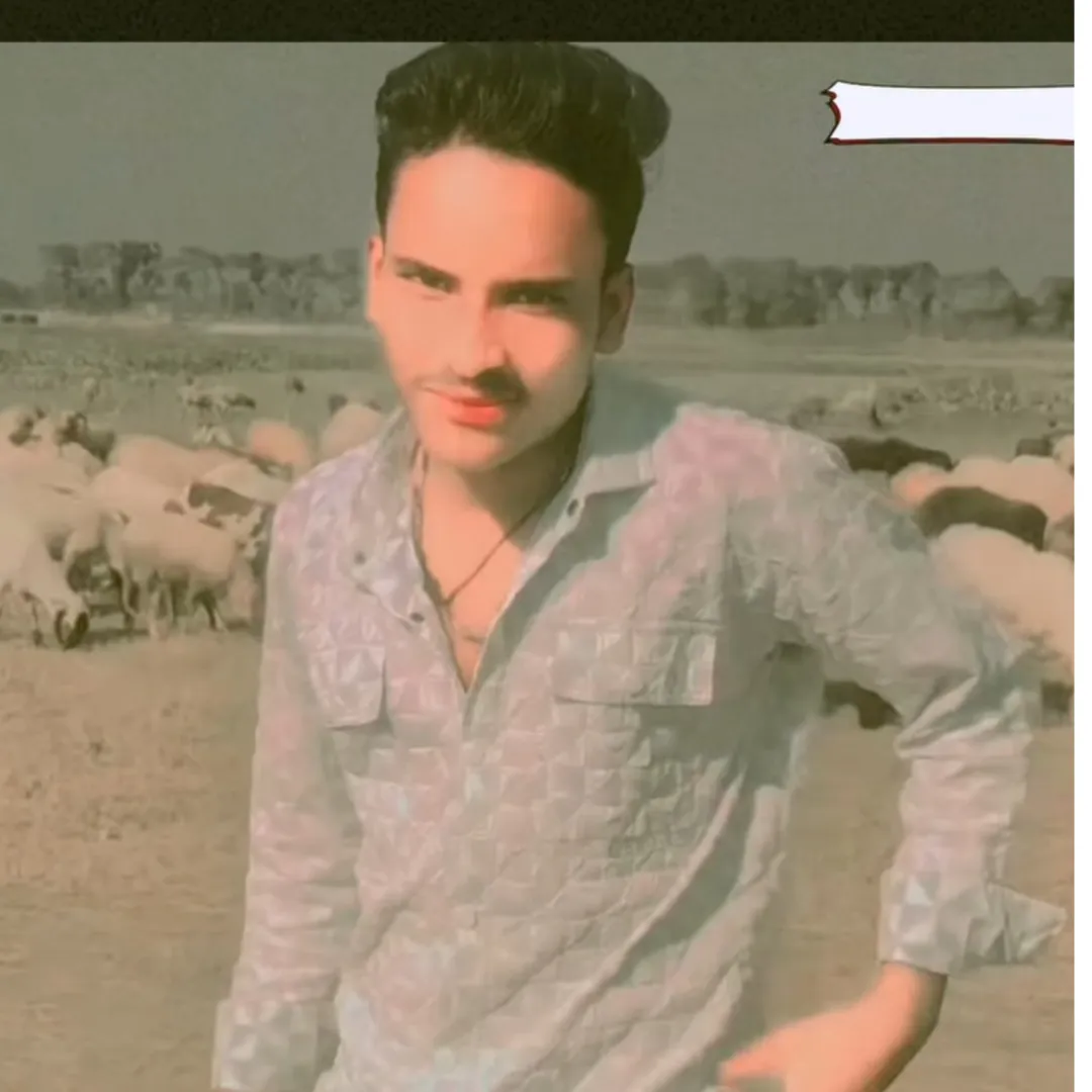 Md Alim