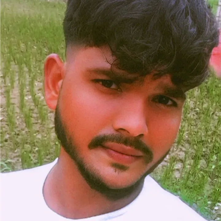 Ankit Chauhan
