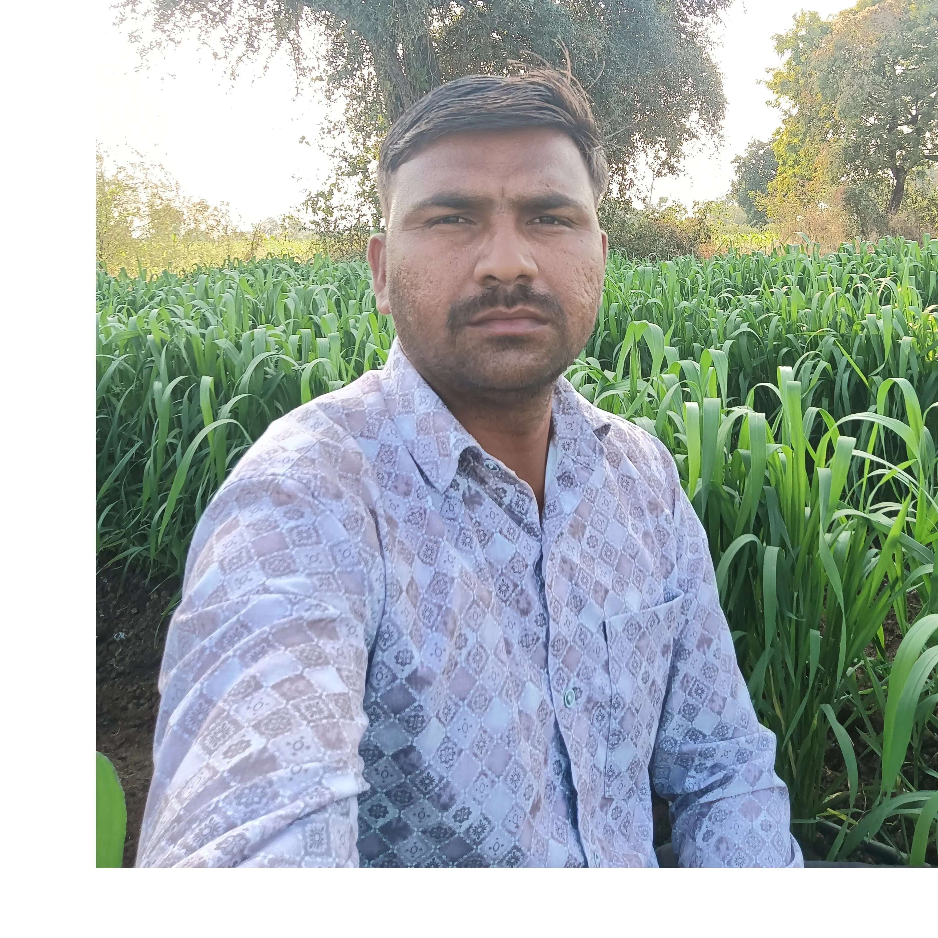 Bapu Janjal
