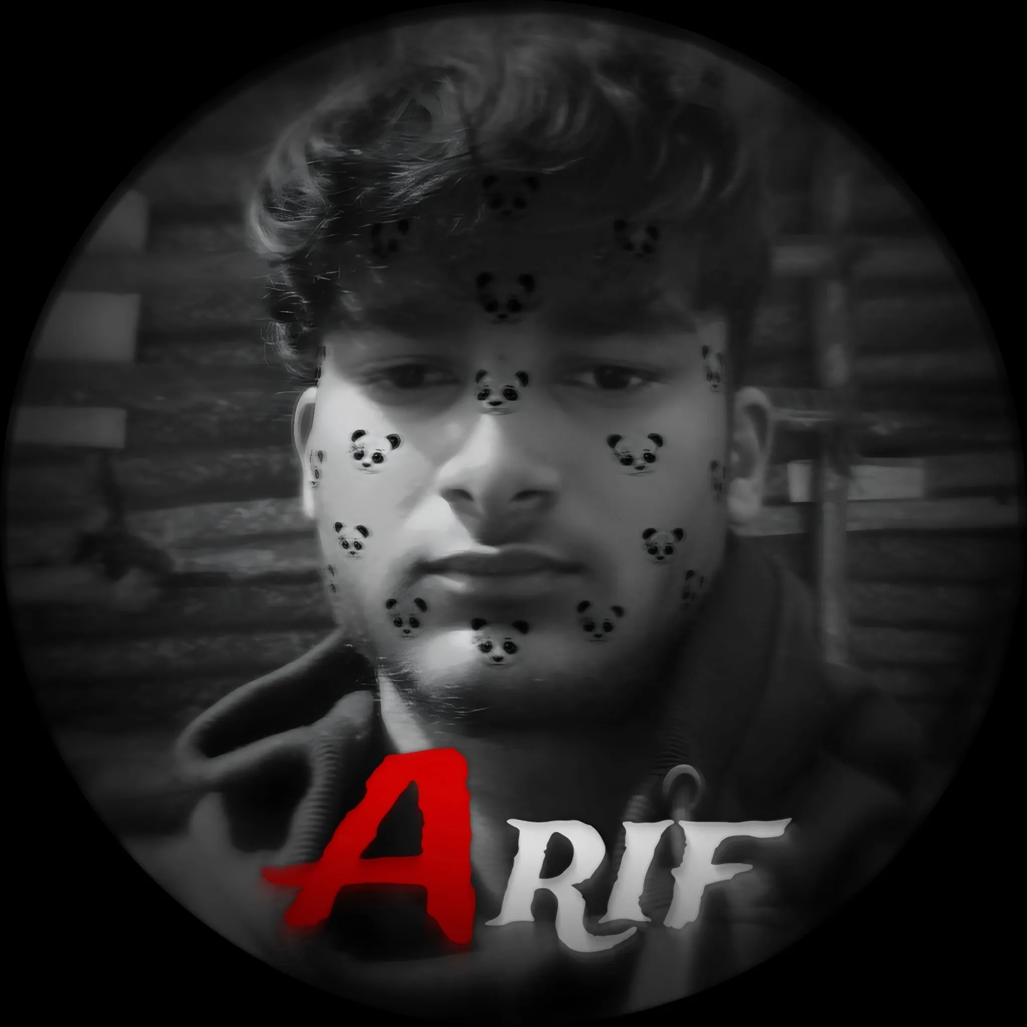 ARIF ANSARI
