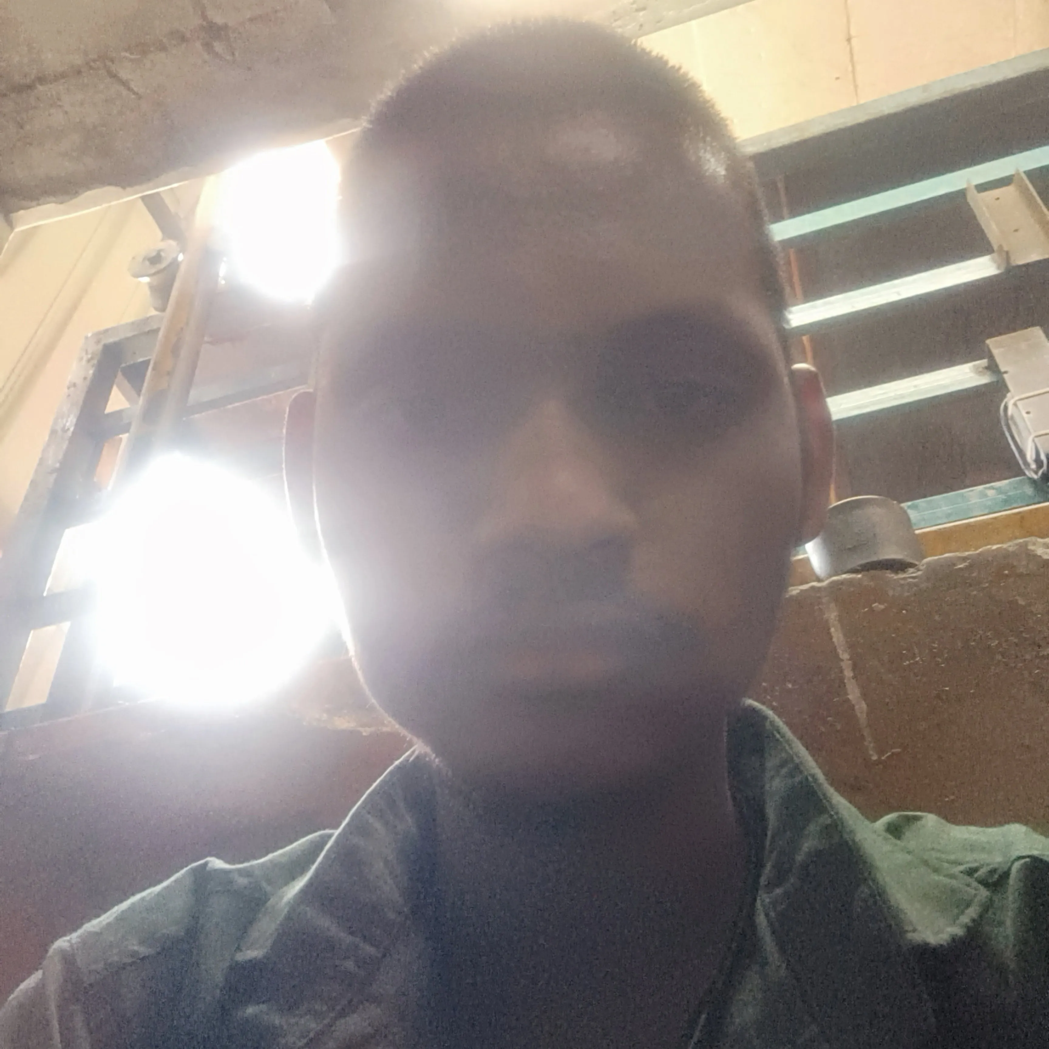 ajay Pal