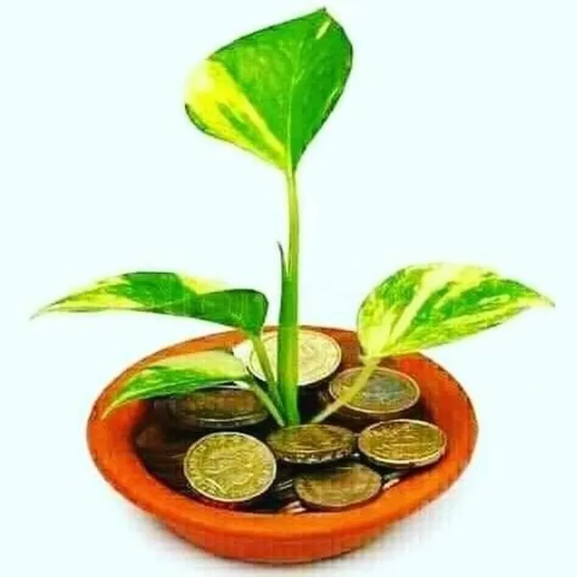 Monu Katiyar Vinay Katiyar