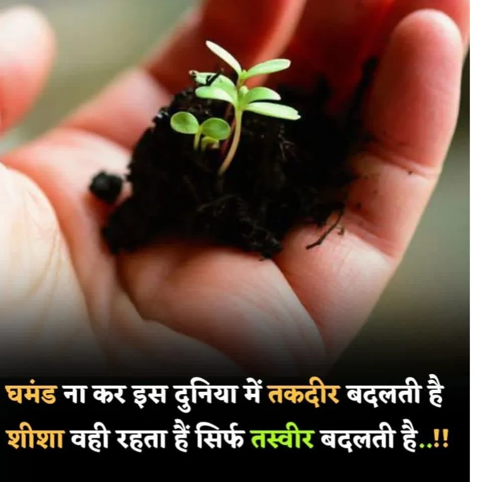 rajesh bapna