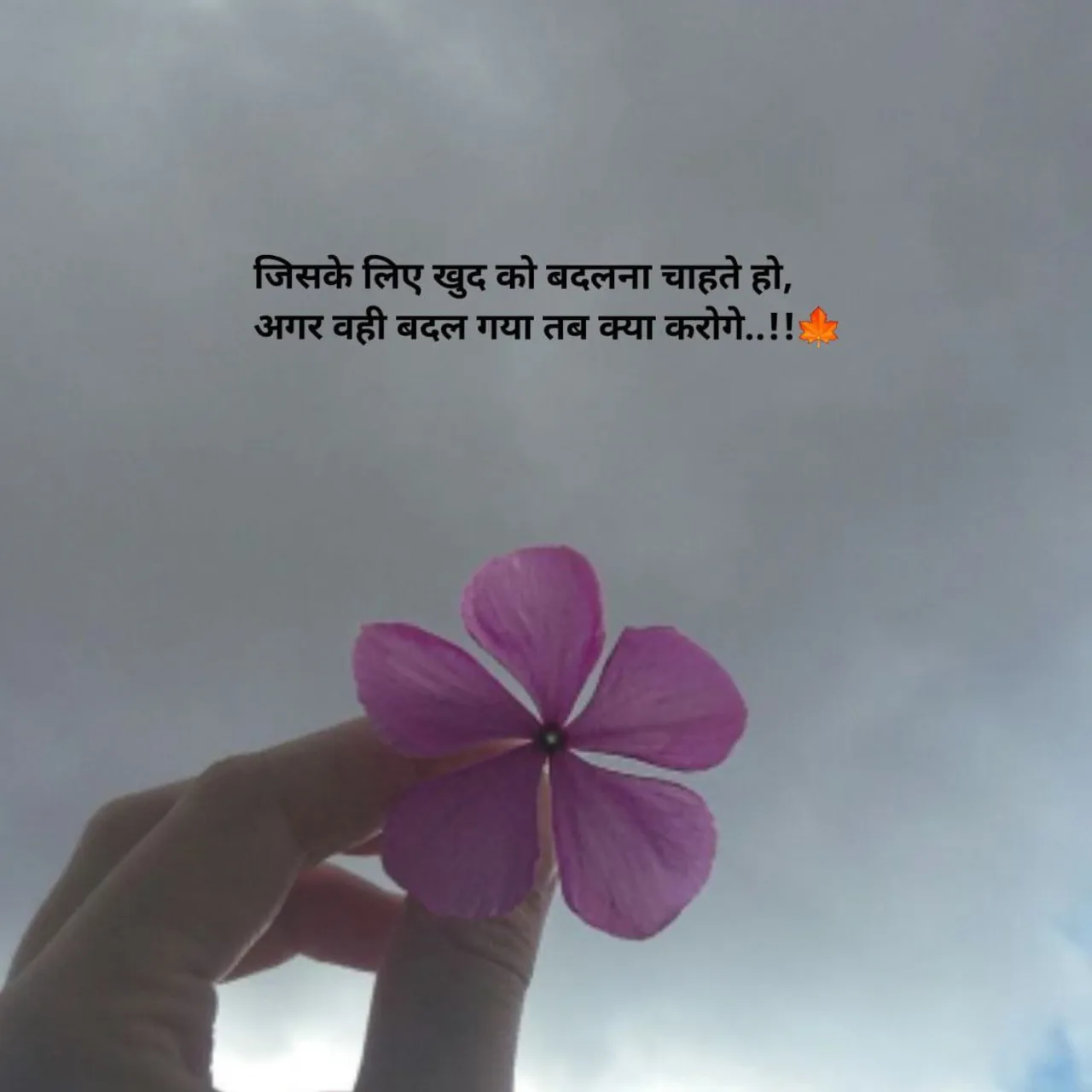 vivek Dubey