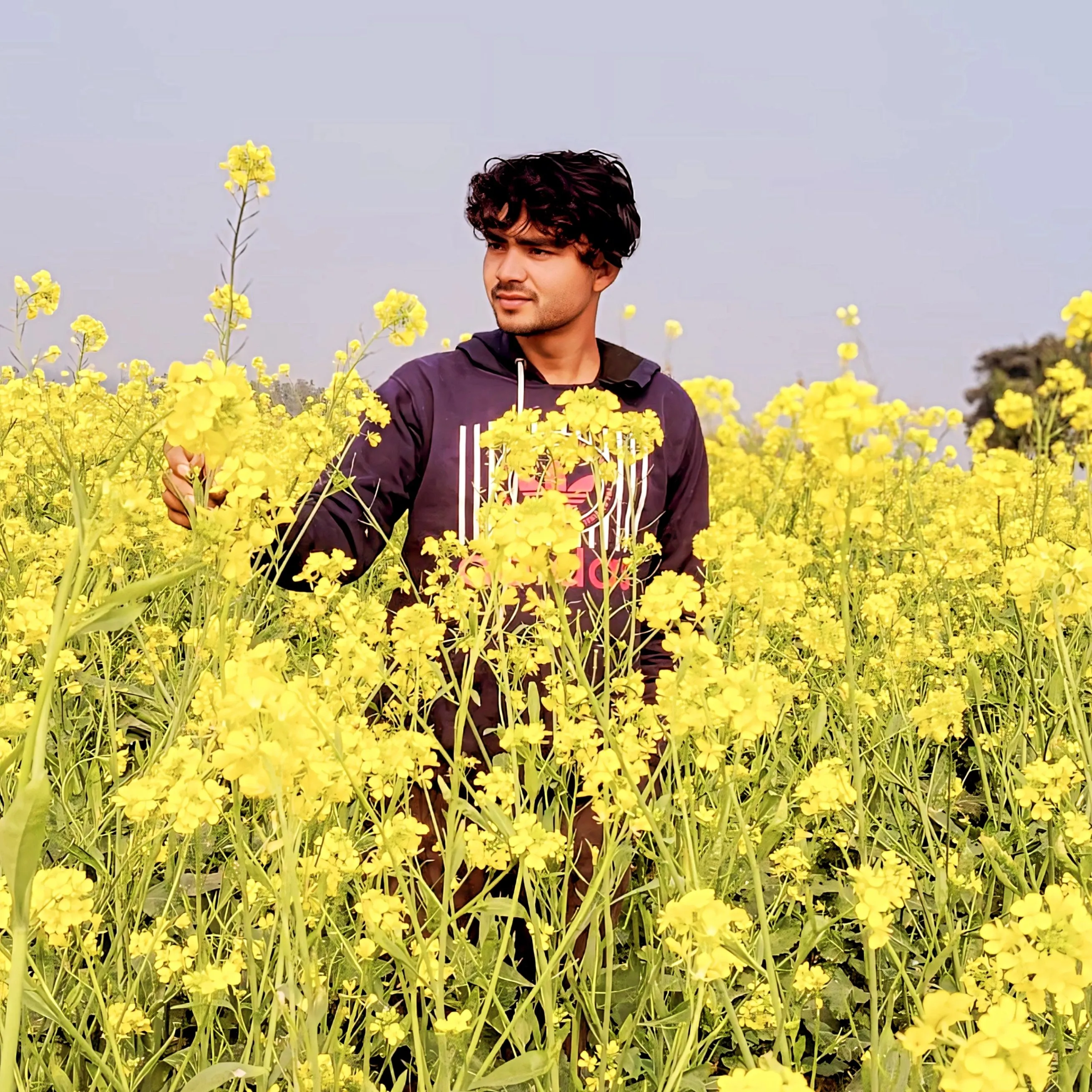 rana rana