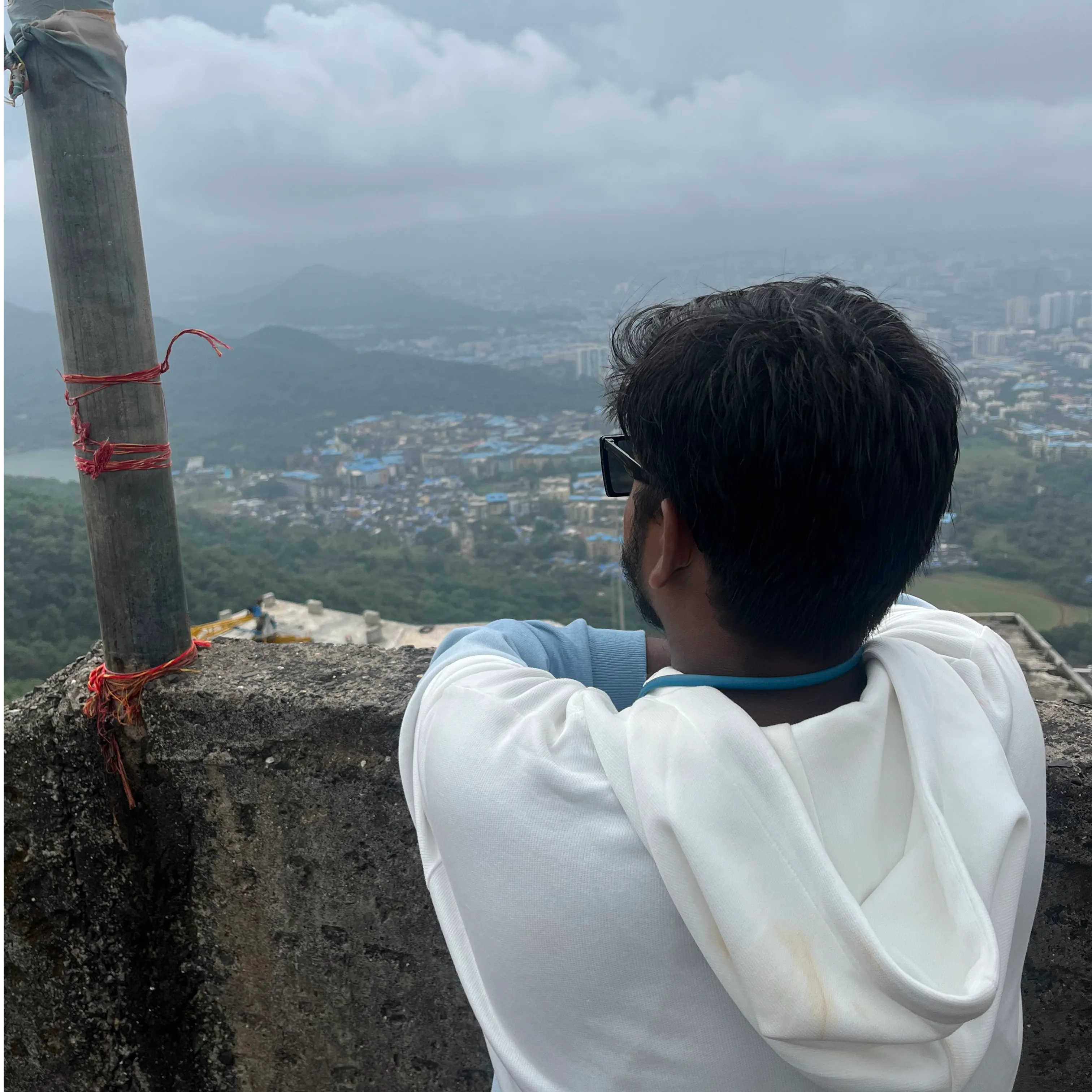 Dev Dmon