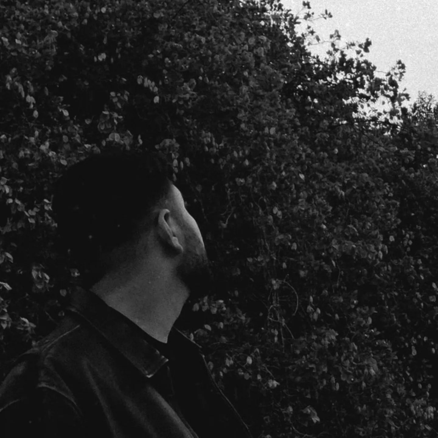 Daniel Eli