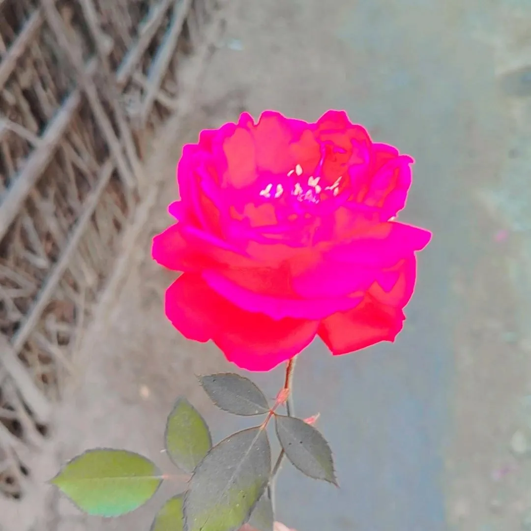 Deepak Kumar