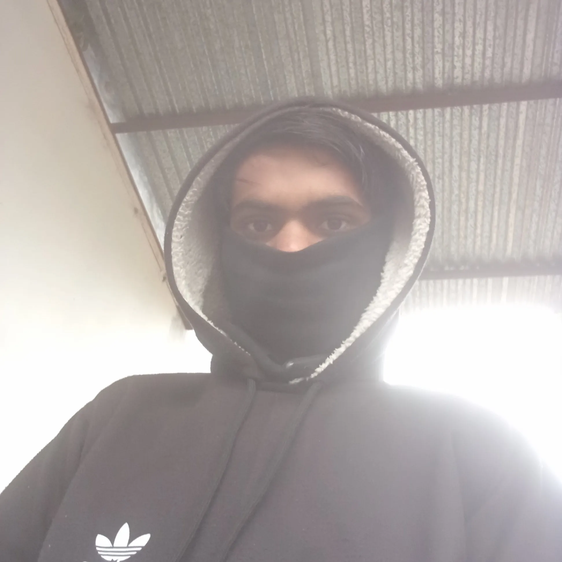 Rohid Alam