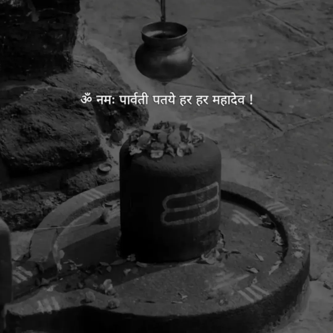 SUMIT RAJPUT