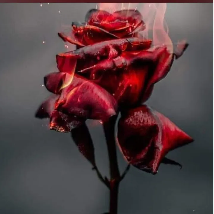 ShyamKamal°°°°° °°°Love°°°