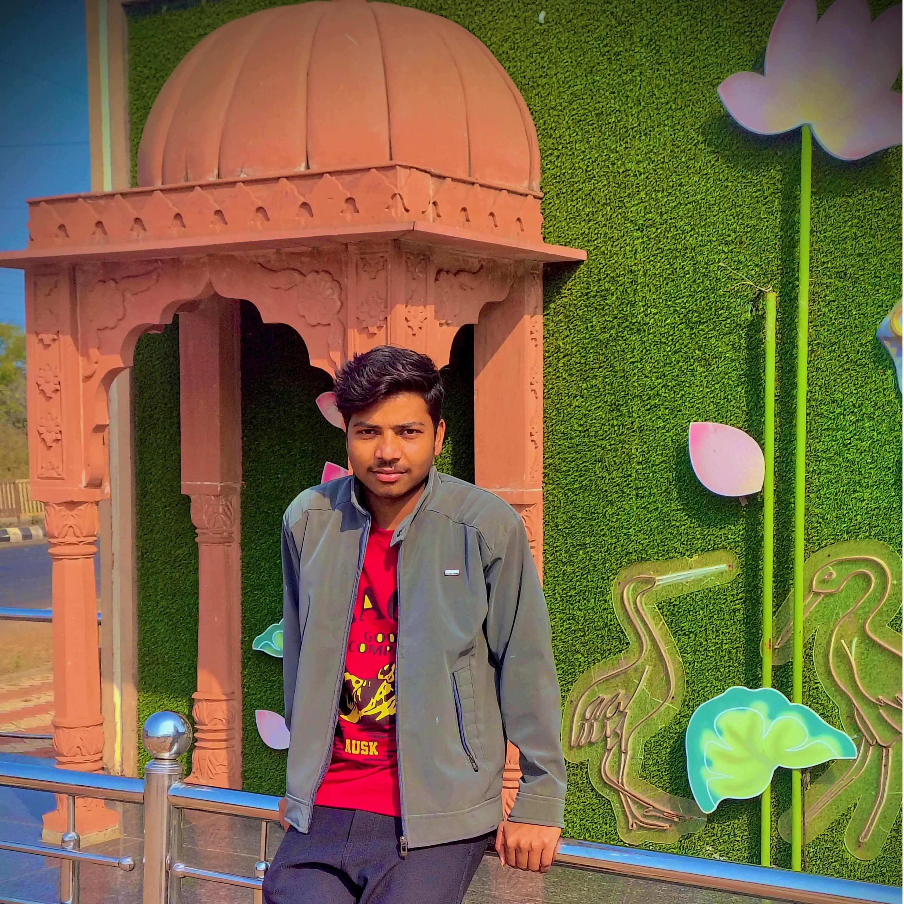 Vikash Lodhi