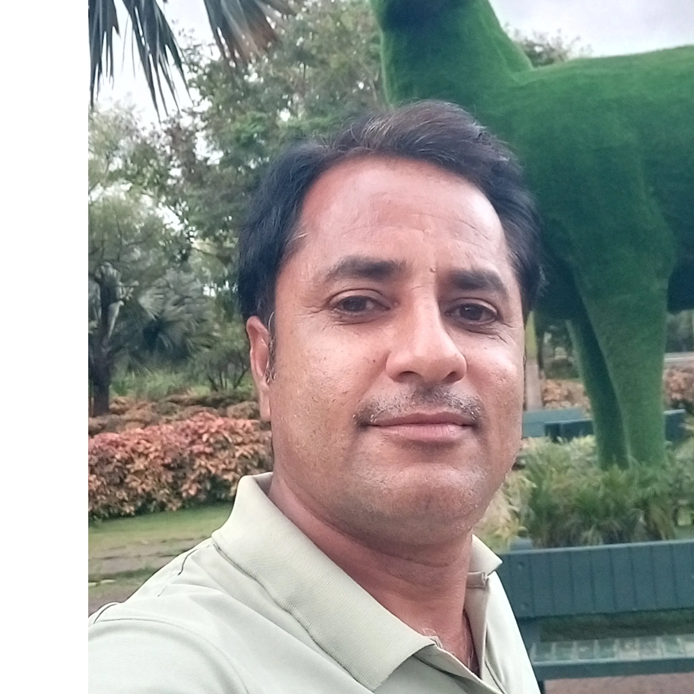 paresh raithatha