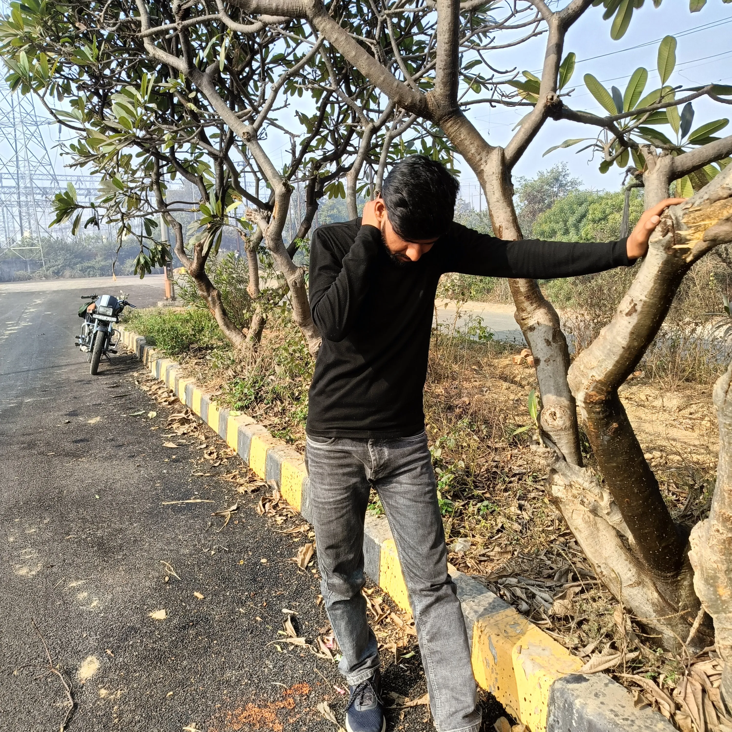 Ziddi punnu