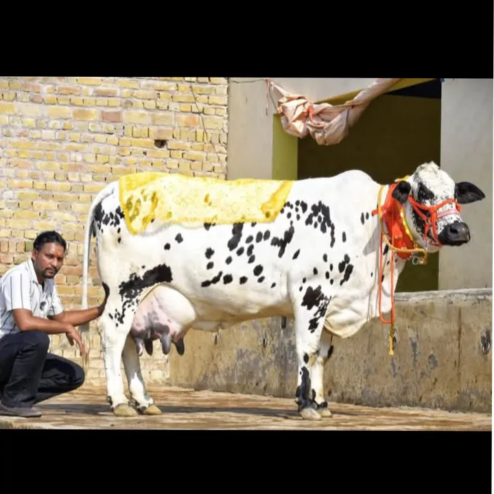 Parkash Kumar
