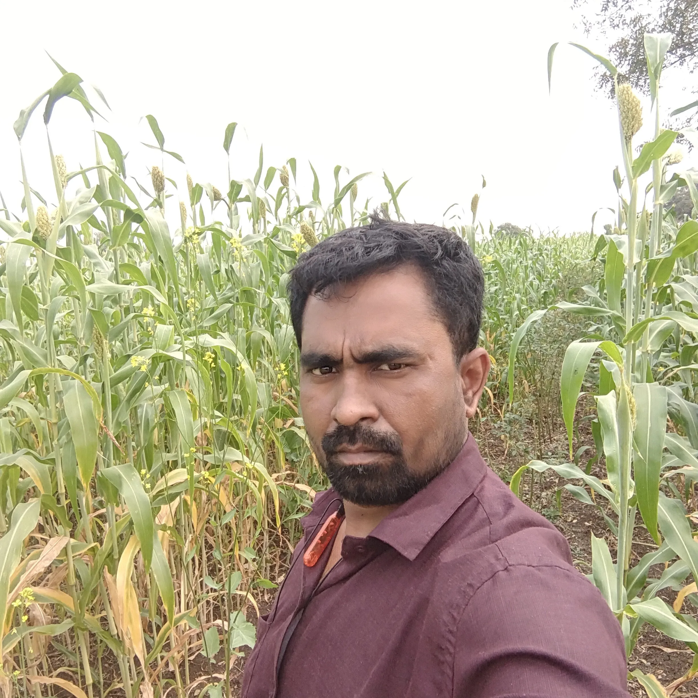 Mds Shaikh