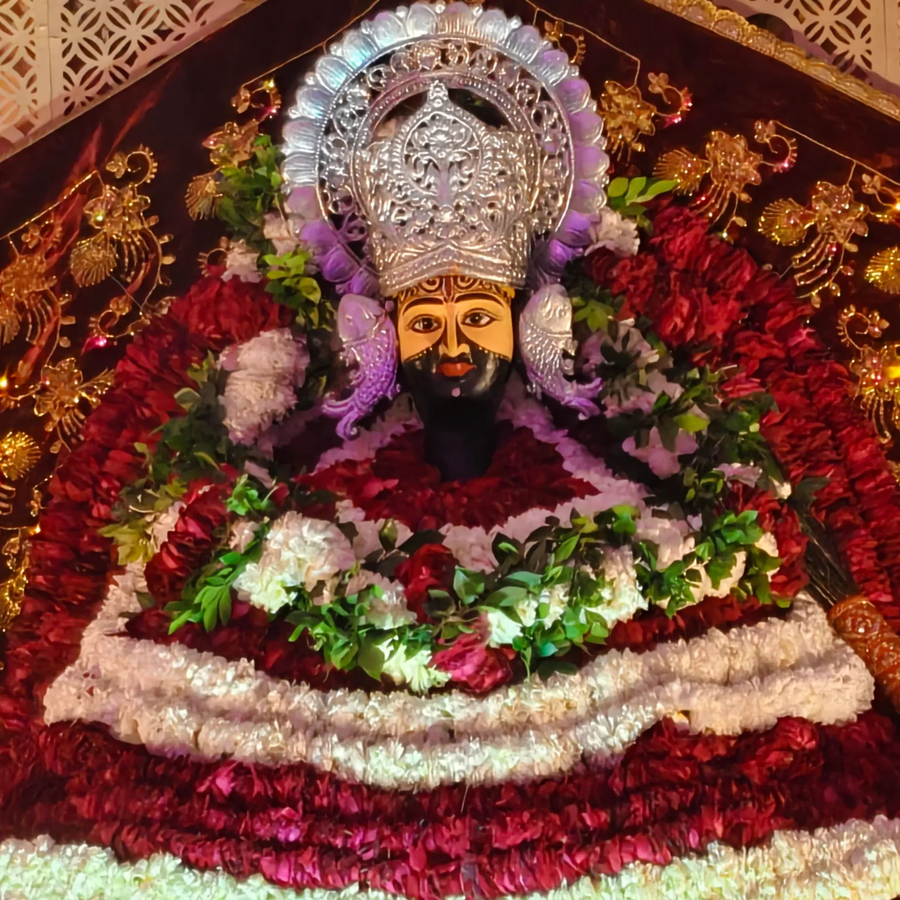 sanatani status thakur