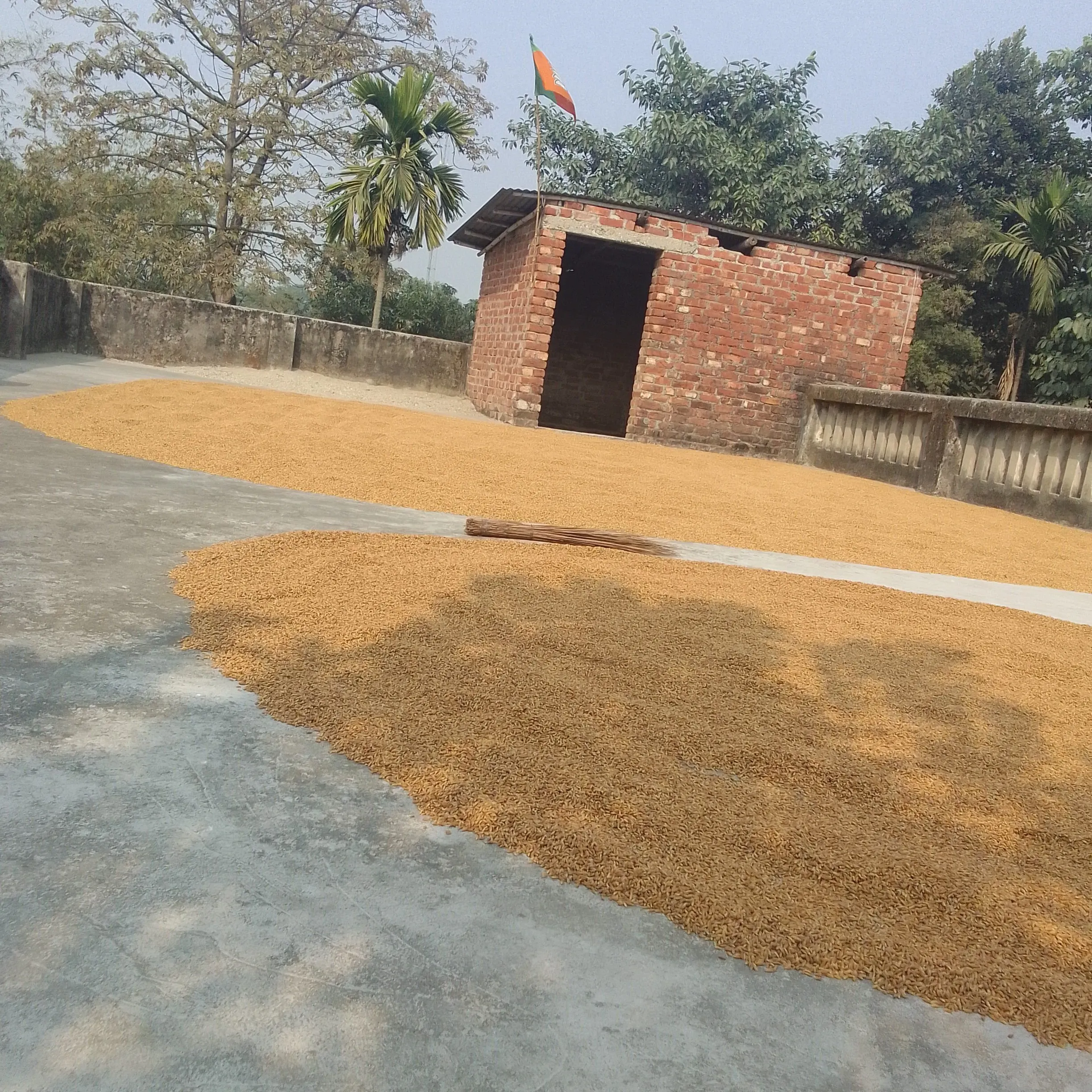 Dharmendra Mandal