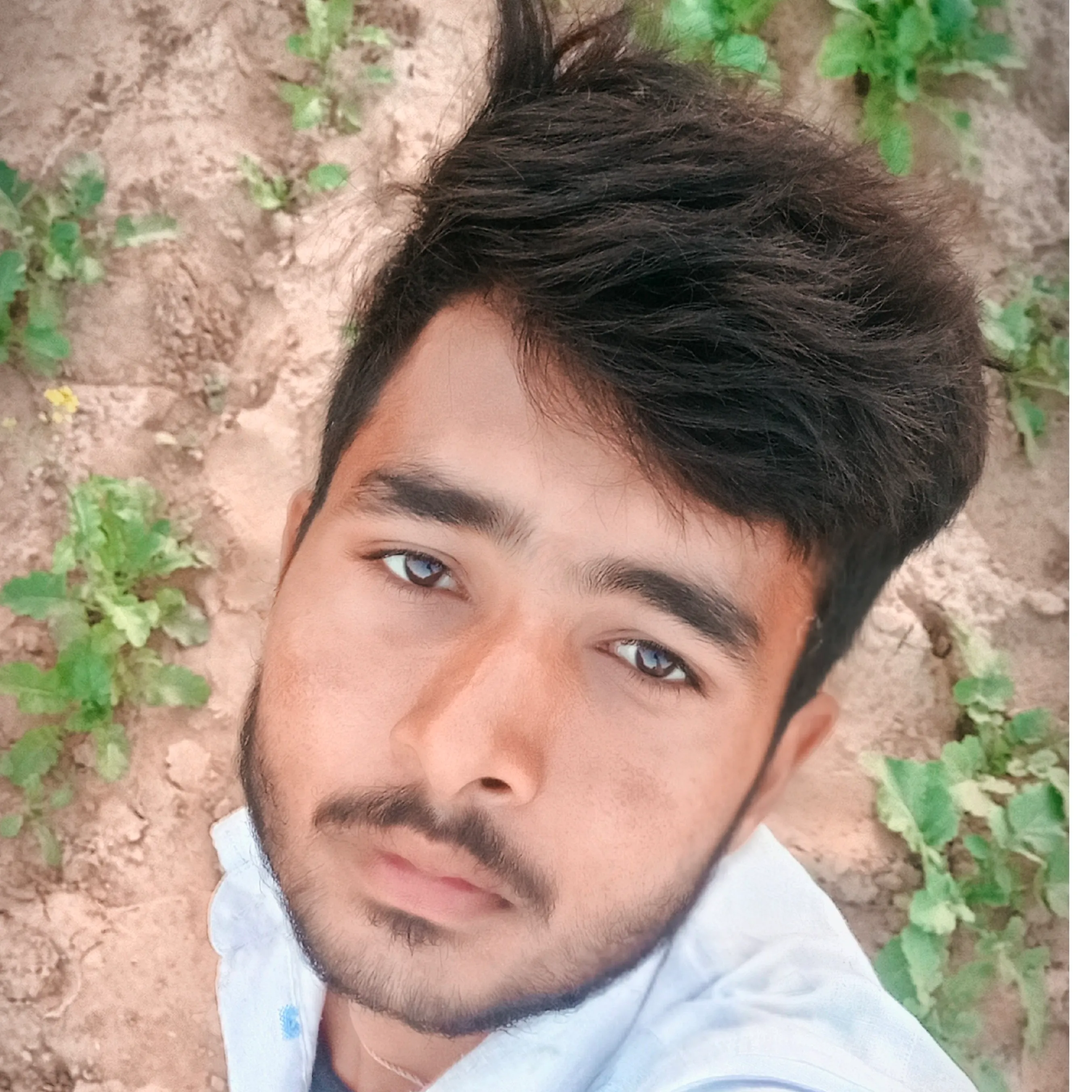 Nanduphotosghrafir Nanduphotosghrafir