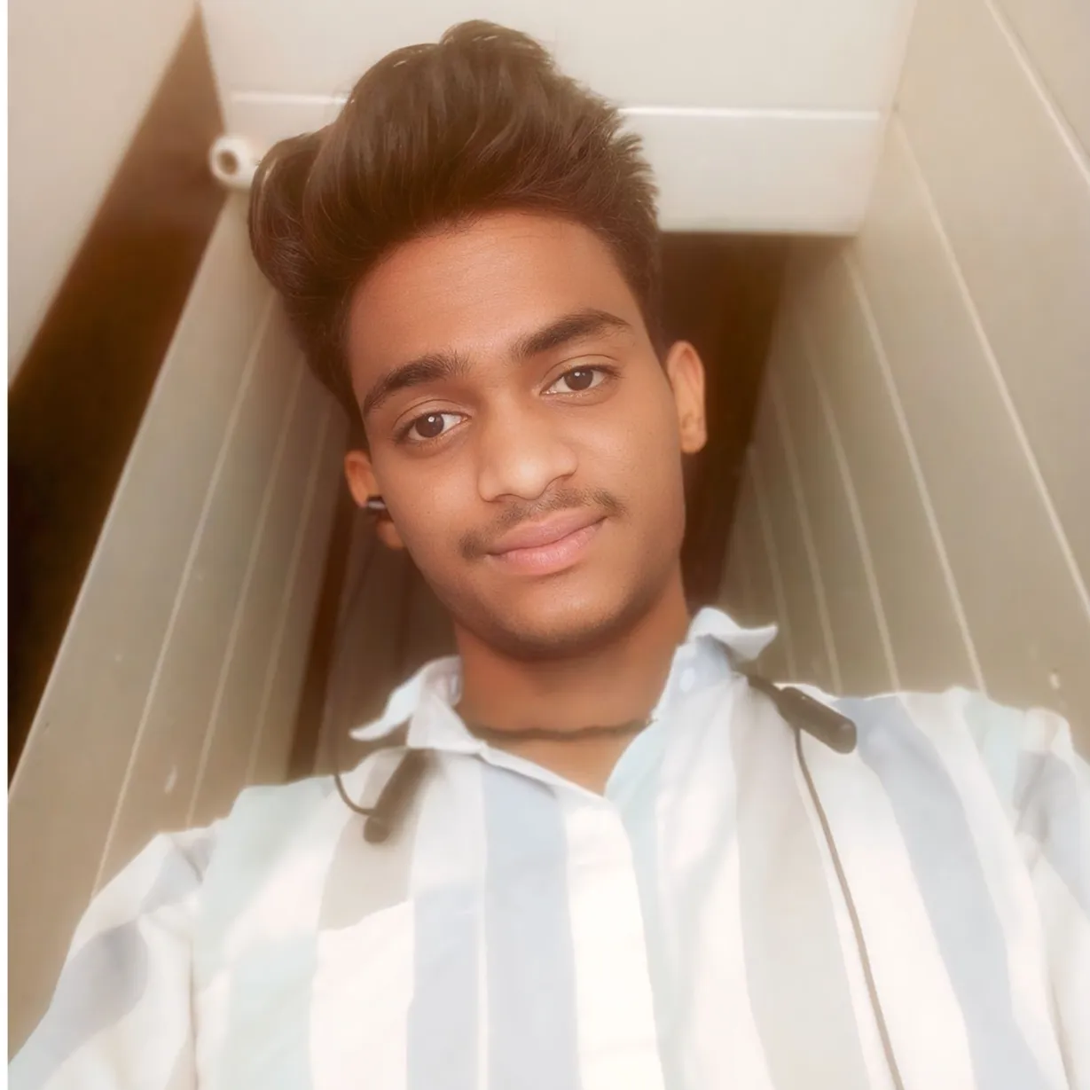 pintu meena